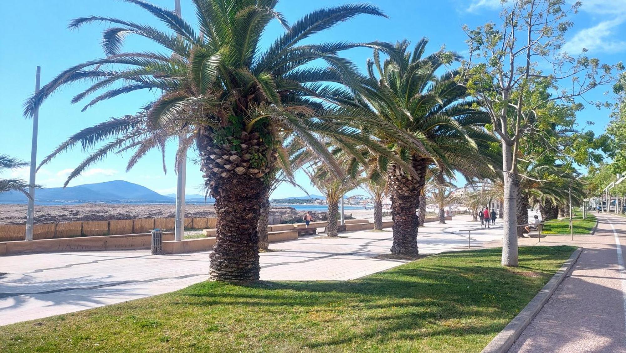 Lovealghero Stanze In Attico Vista Mare Екстер'єр фото
